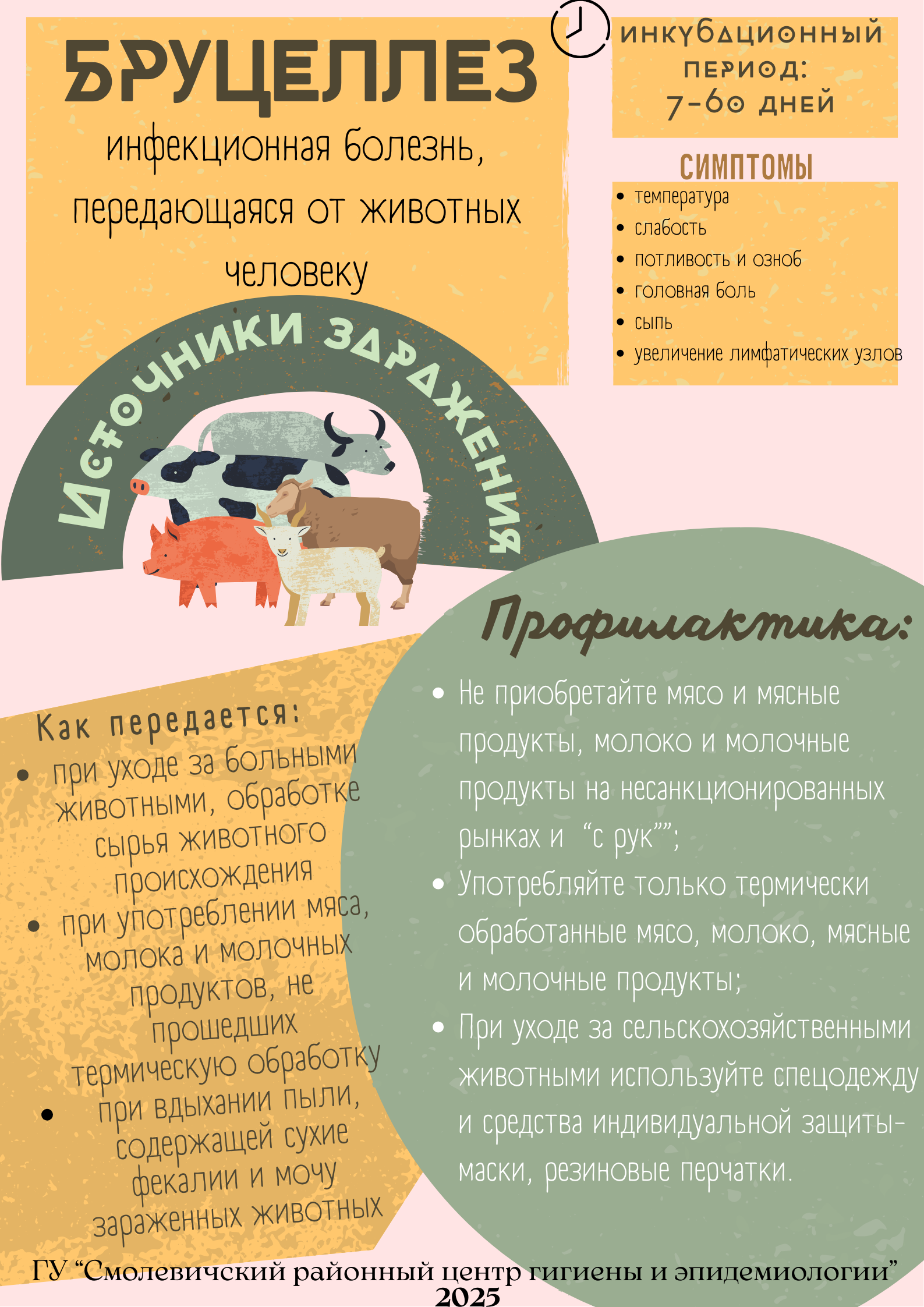 Бруцеллез Бруцеллез